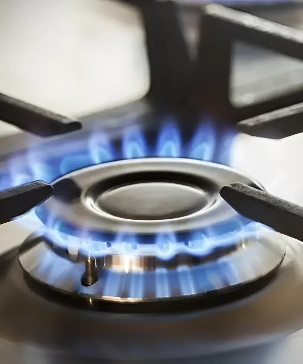 A Close Up of a Gas Burner With Blue Flames — Gastech Plumbing Services in Andergrove, QLD