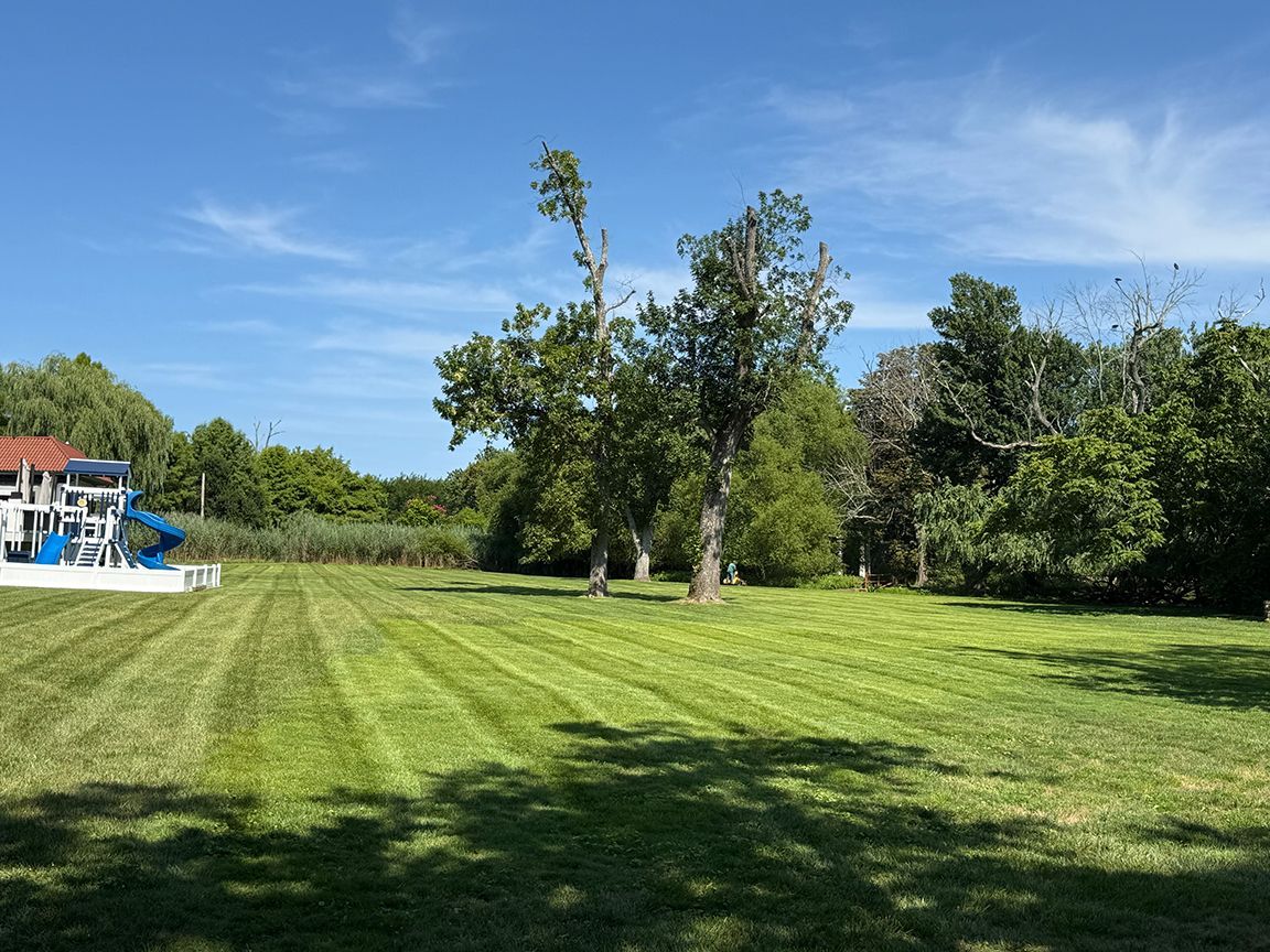Well-maintained lawn and open residential landscape area