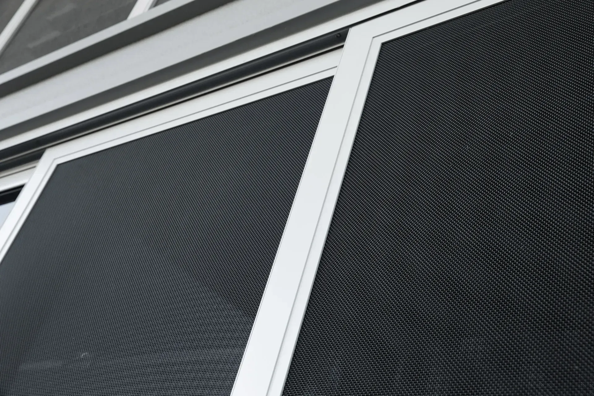 Black Cat Emerges From a White Cat Door in a White Doorframe — All Security Screens & Repairs In Bungalow, QLD