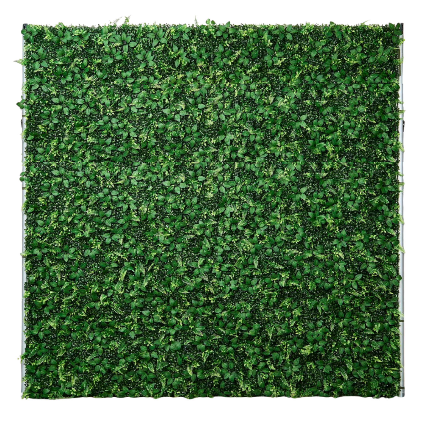 Square artificial green hedge panel.