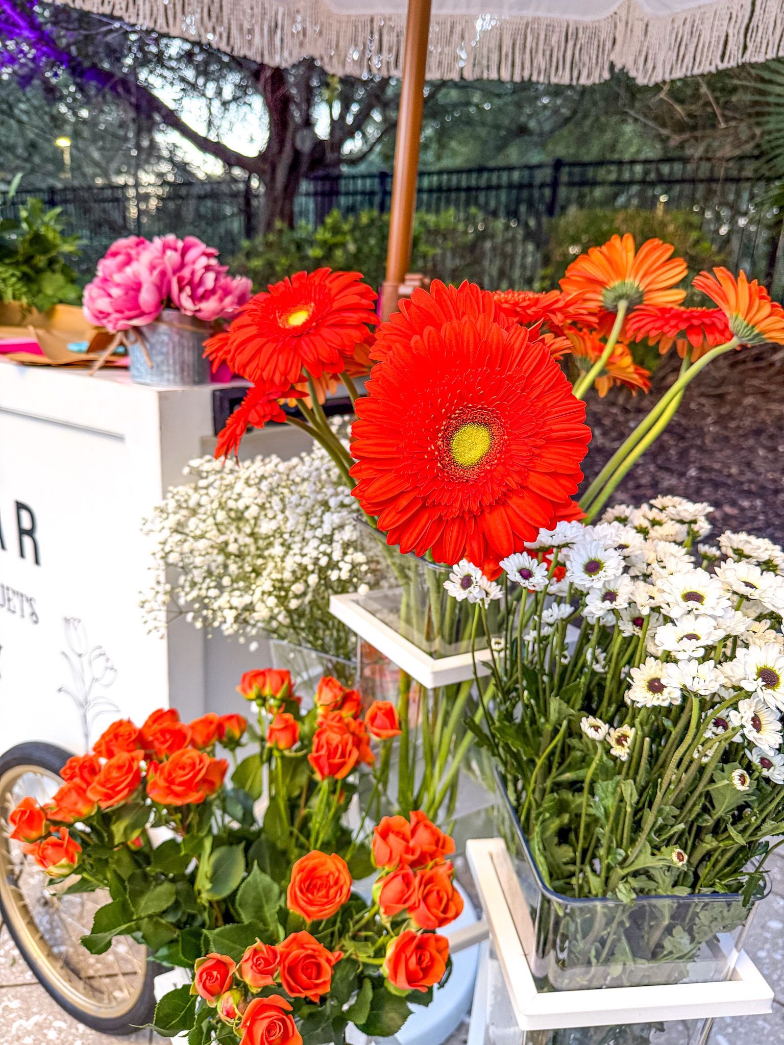 Flower cart with red, orange, and white blooms. Parasol overhead. Outdoors setting.
