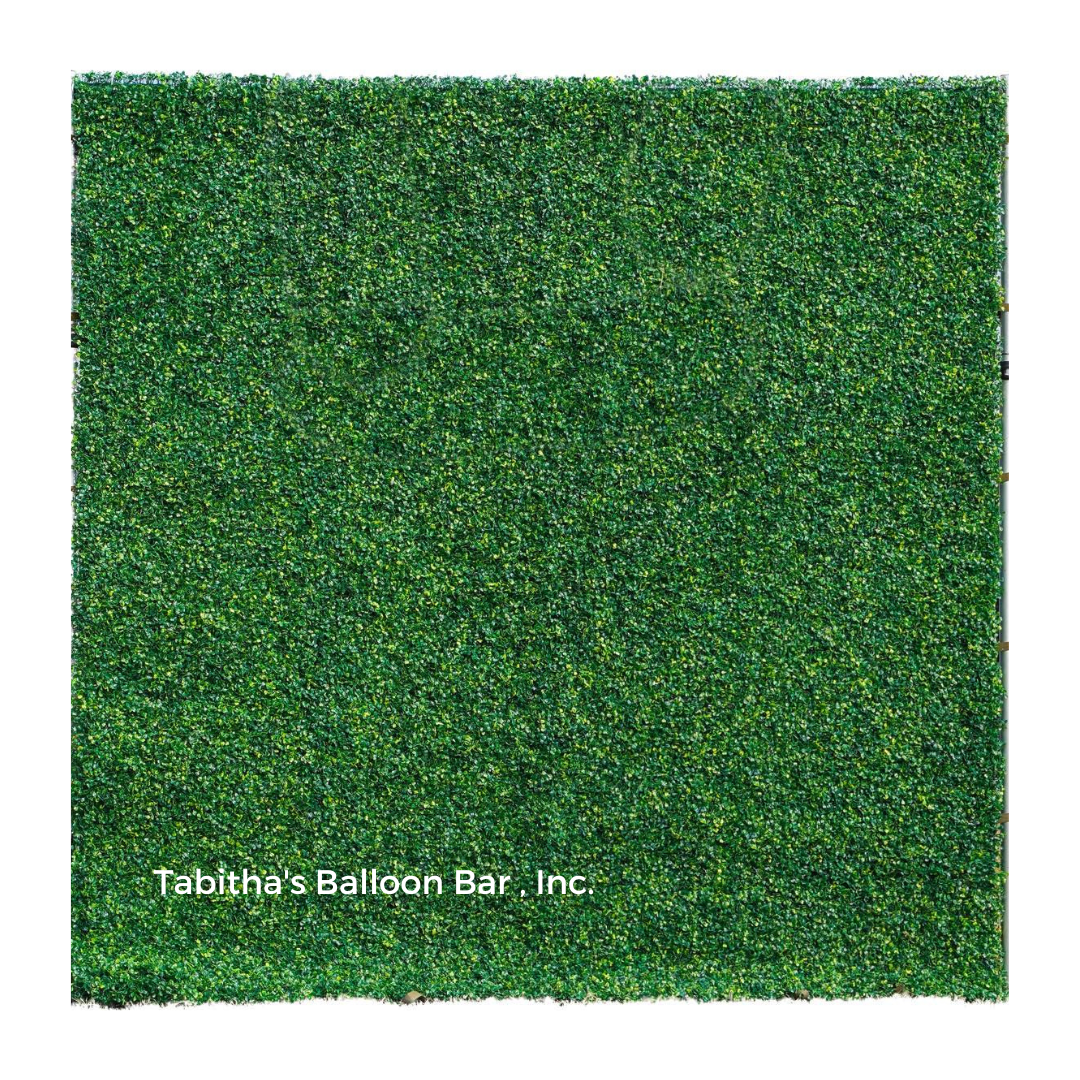 a square of green grass on a white background .