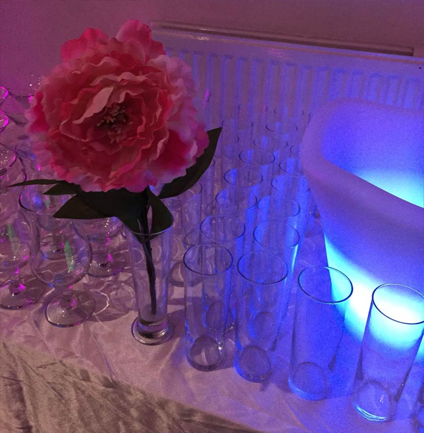 pink flower in champagne glass