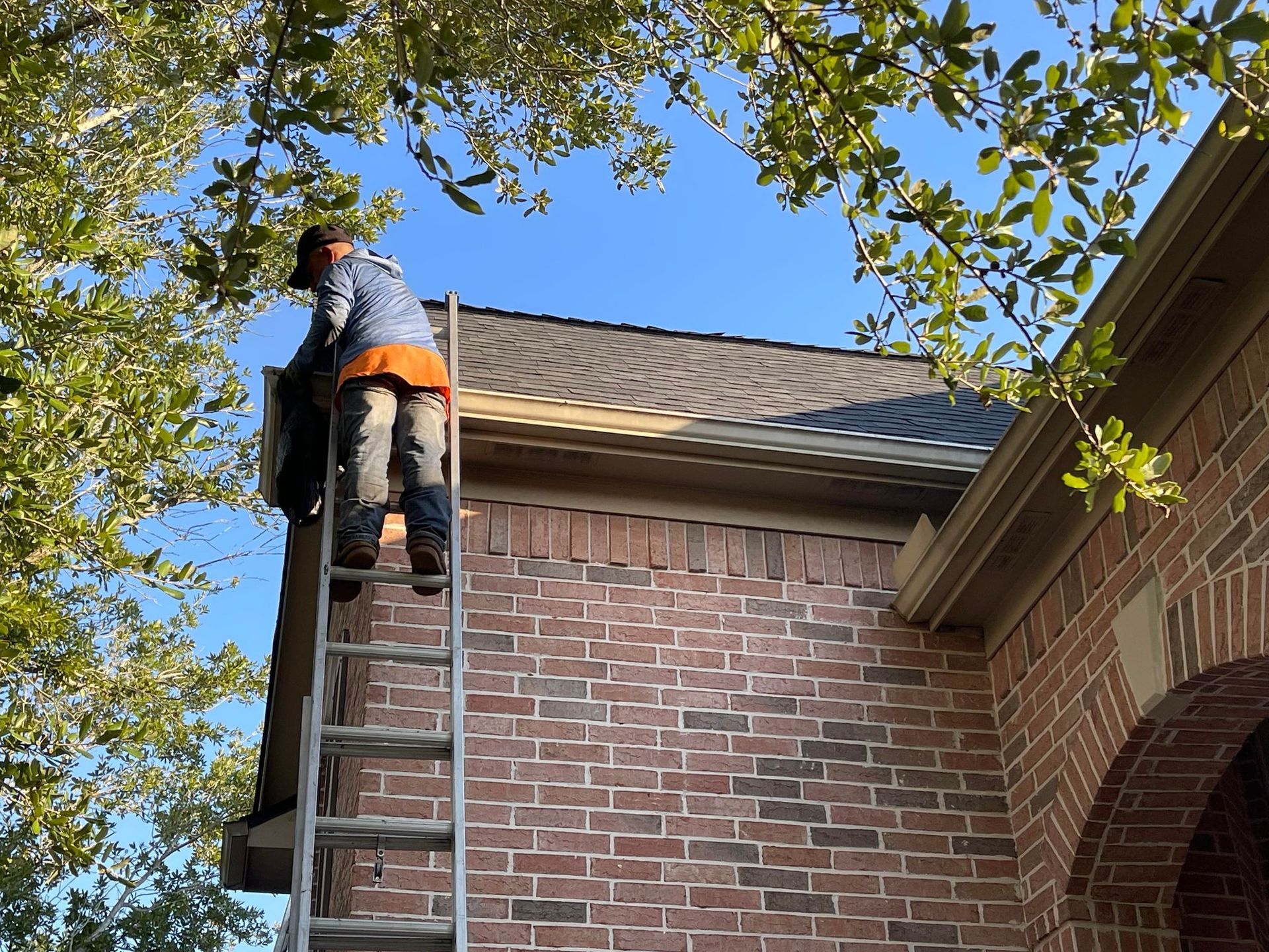 Person on a ladder near a brick building's roof, working. A clear, blue sky and tree branches surround.