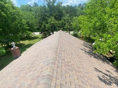 Brown shingled roof with a chimney and surrounding green trees under a bright sky.