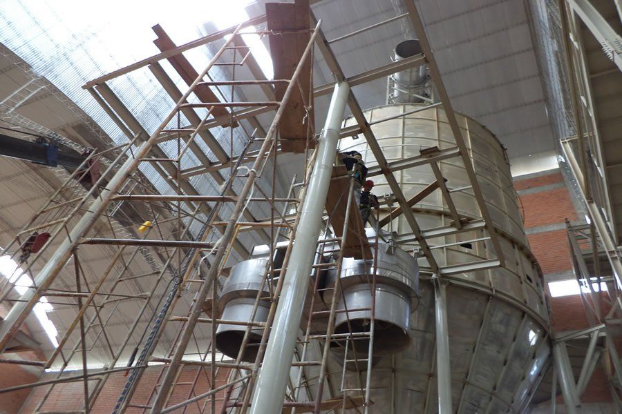 Montaje completo de plantas de arroz