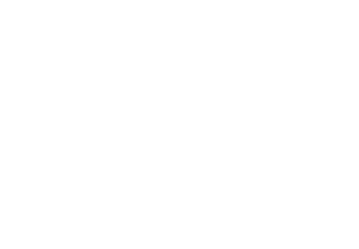 Logo with a gray 