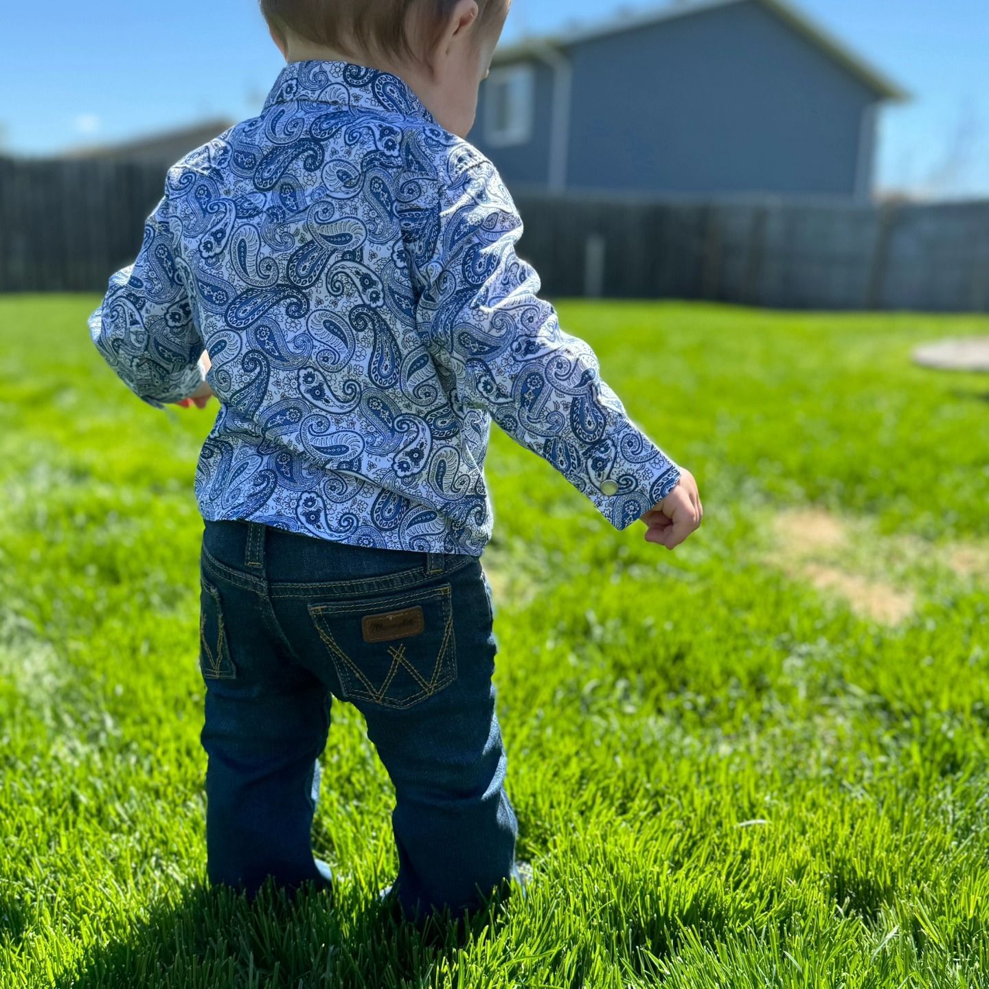 A little boy in a blue shirt and jeans is standing in the grass.
