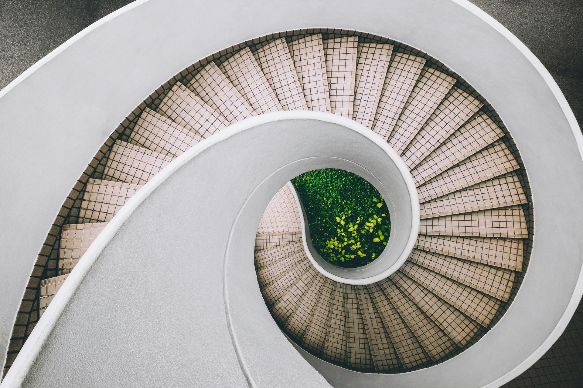 A spiral staircase with a tree in the middle of it.
