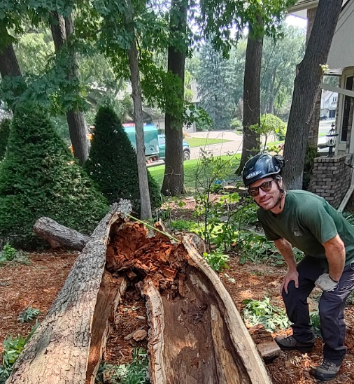 A man is standing next to a large log in the woods.