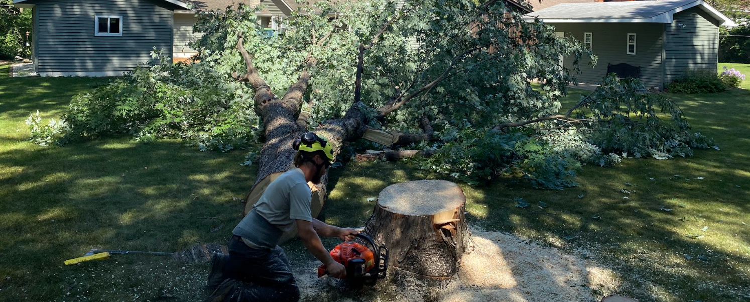 A man is cutting a tree stump with a chainsaw.