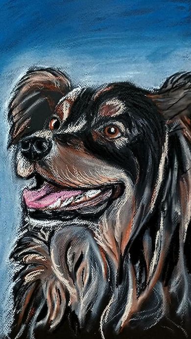 Een portret in potloodstijl van een zwart-bruine hond met zijn tong uitgestoken tegen een blauwe achtergrond.