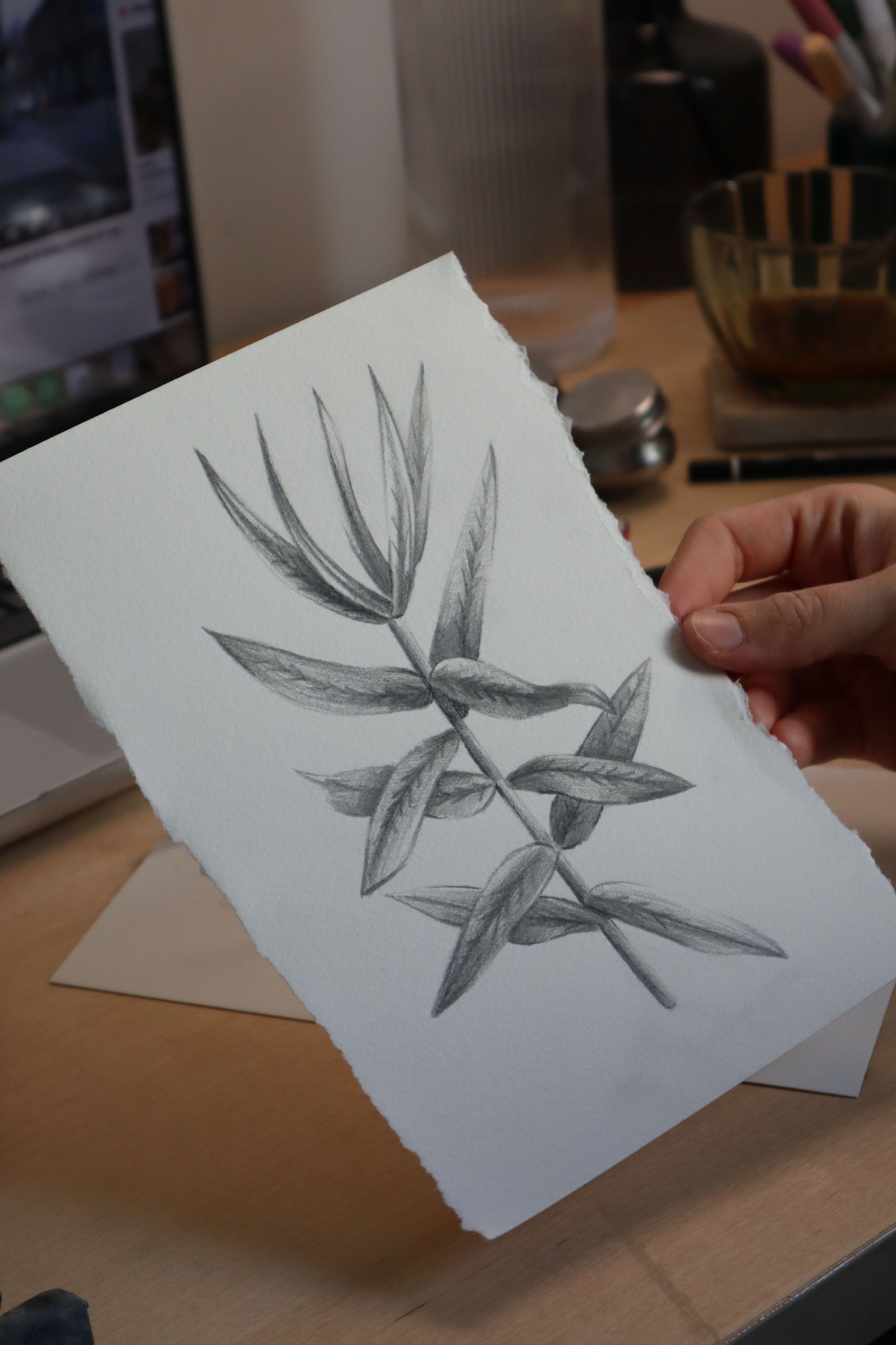 Hand die een potloodschets van een bladerrijke tak op wit papier vasthoudt, liggend aan een bureau.