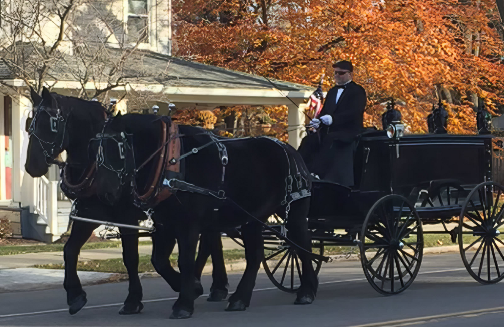 A man is driving a horse drawn carriage down a street.