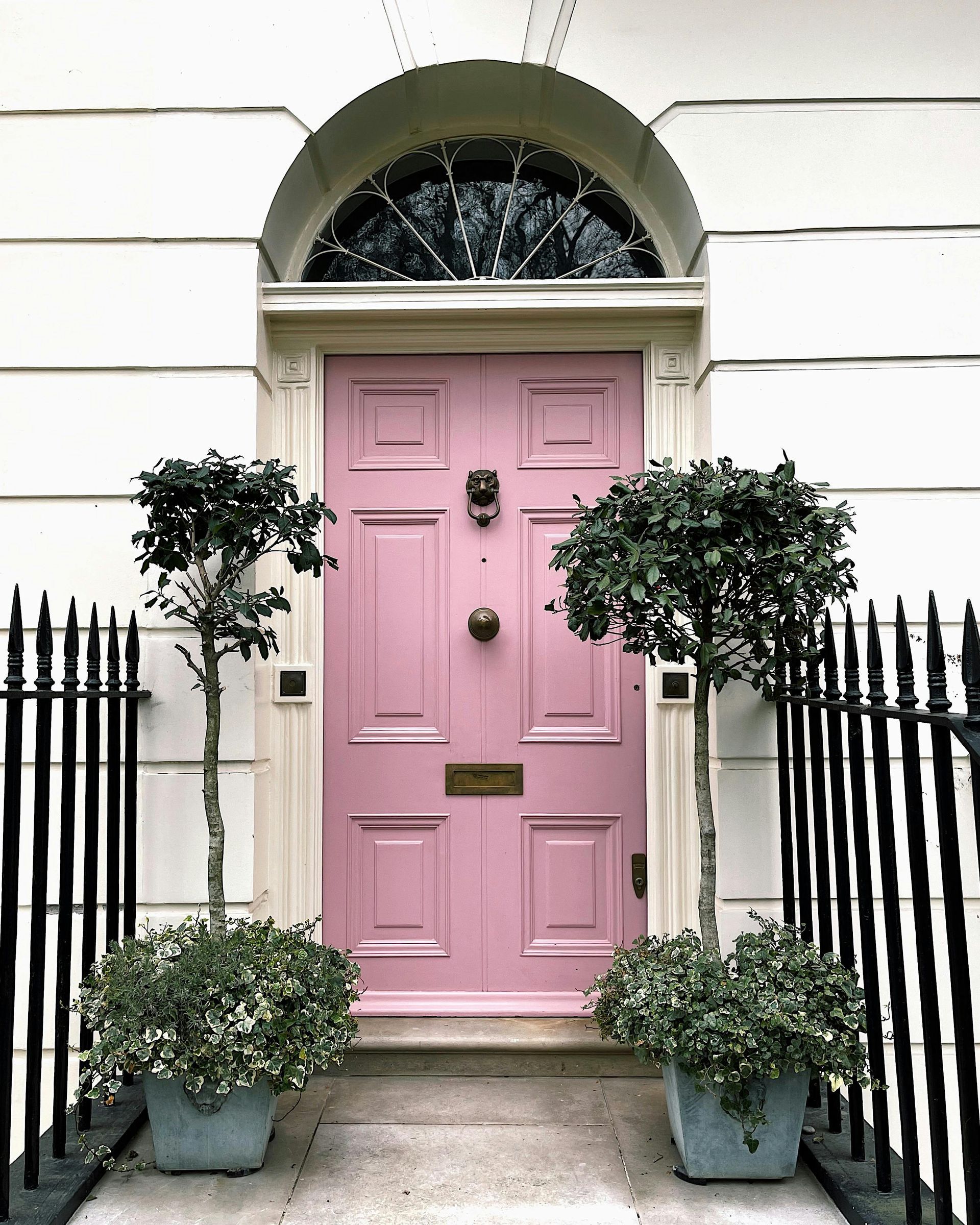 A pink door with two trees in front of it