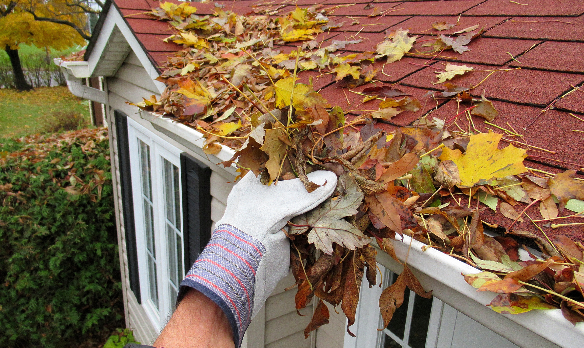 Person wearing a glove cleaning leaves from a gutter on a house with a red roof.