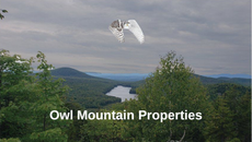 Mountain landscape with forest and hills under cloudy sky, labeled &ldquo;Owl Mountain Properties&rdquo; with a white owl logo.