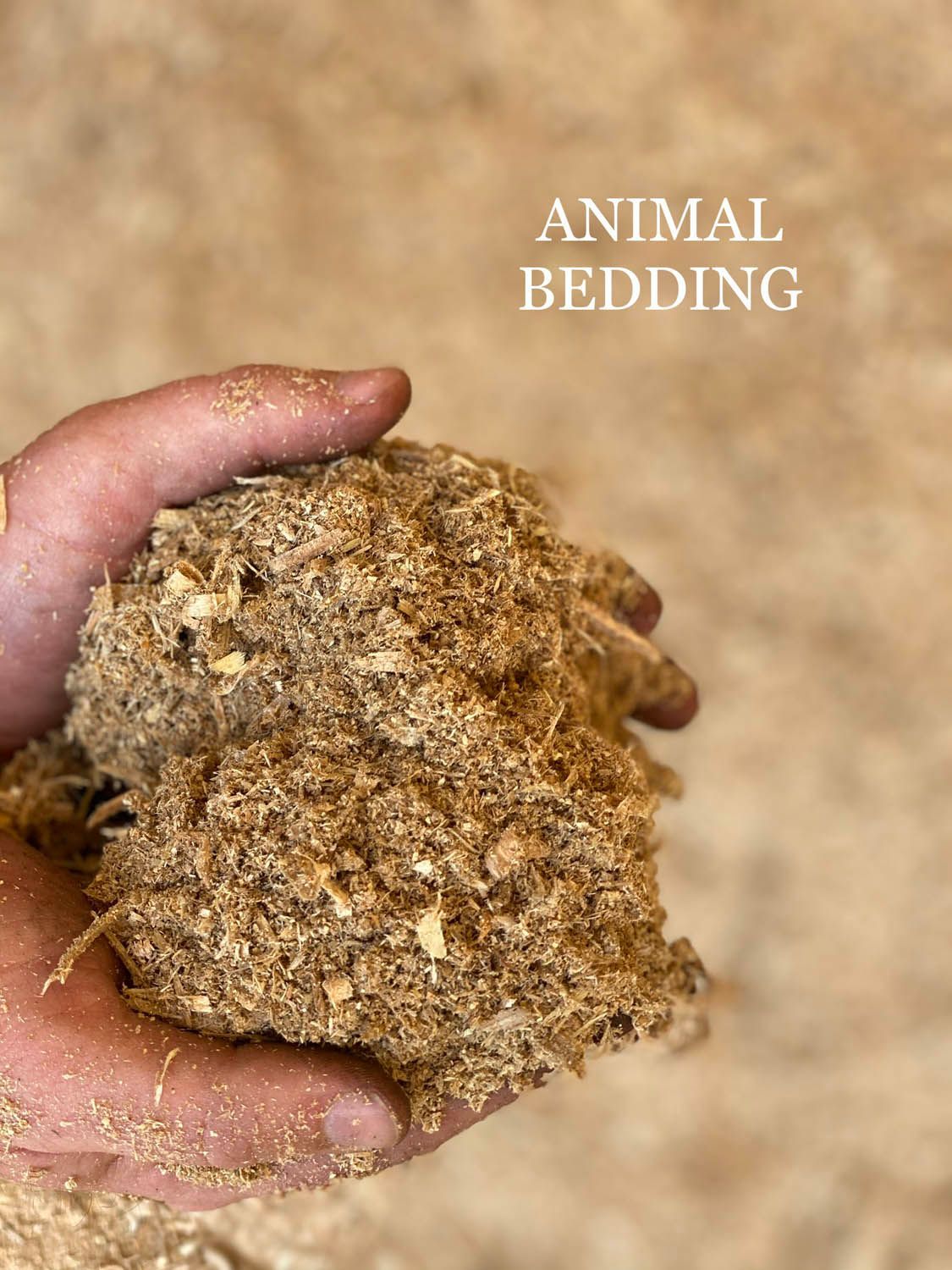 Animal Bedding — State College, PA — Wood Bed Corp.
