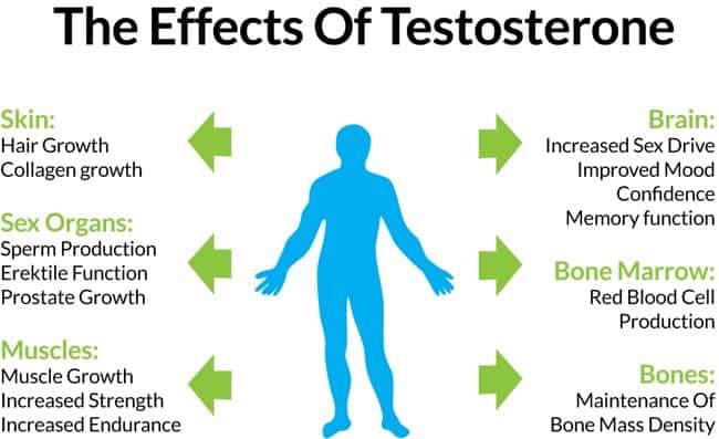 Effects of Testosterone | Chesterfield, MO | Summit Rejuvenation Center