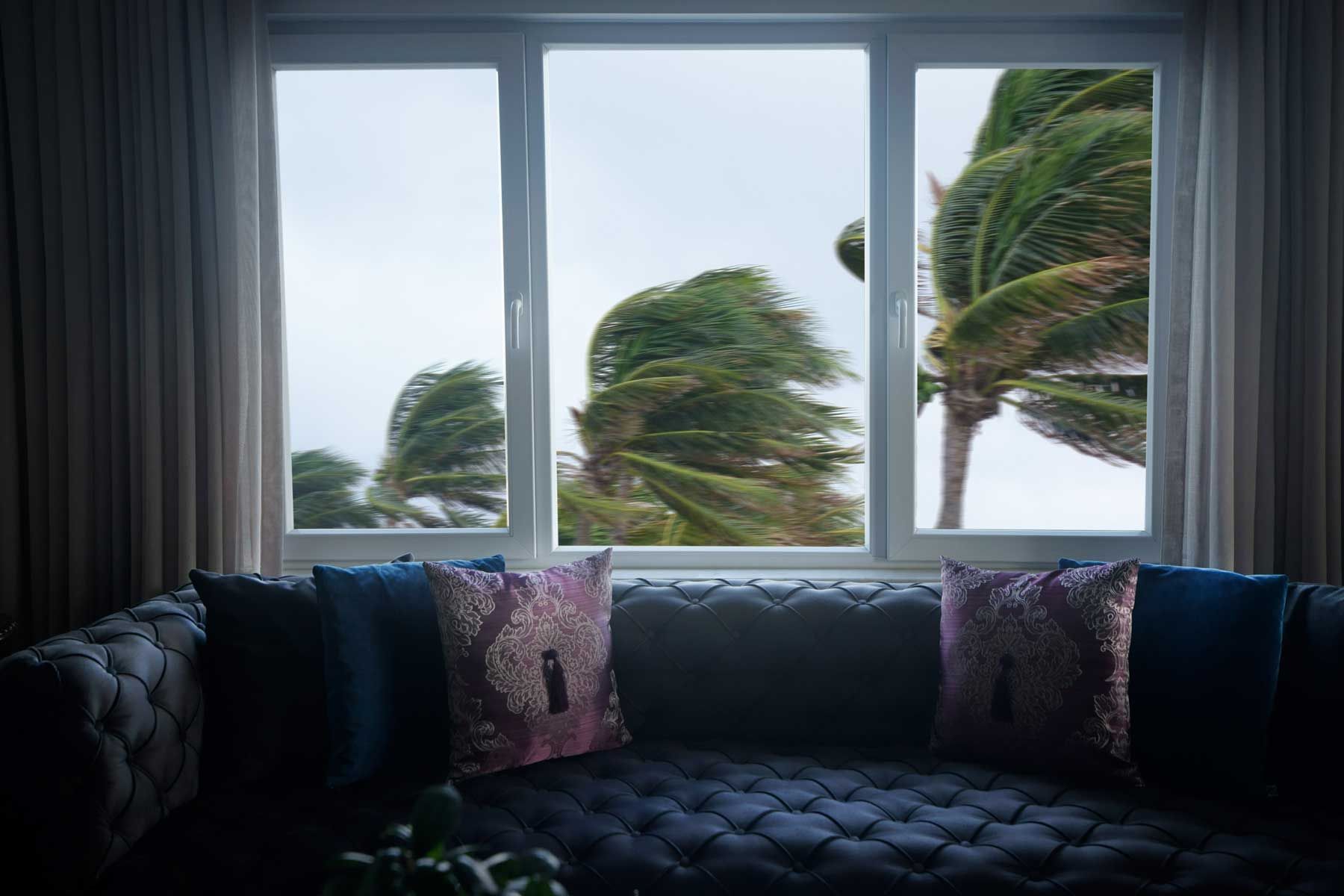 A living room with a couch and a window with palm trees blowing in the wind.