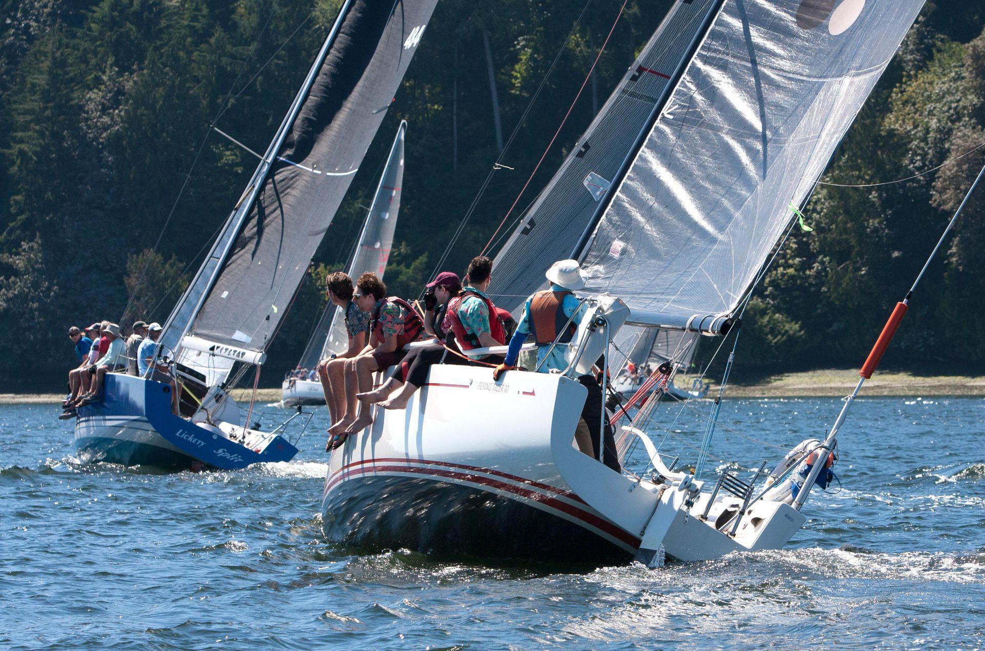 Cow Bay Regatta | Results