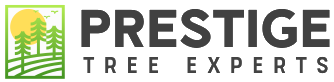 Tree Service in Acworth, GA | Prestige Tree Experts