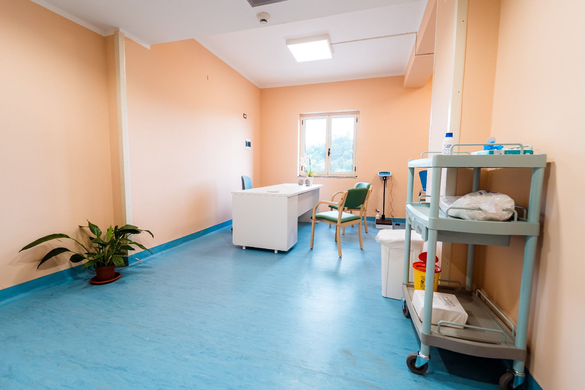 esami diagnostici struttura Madonna del Carmine centro riabilitativo e medico specialistico Figline Vegliaturo (cs)