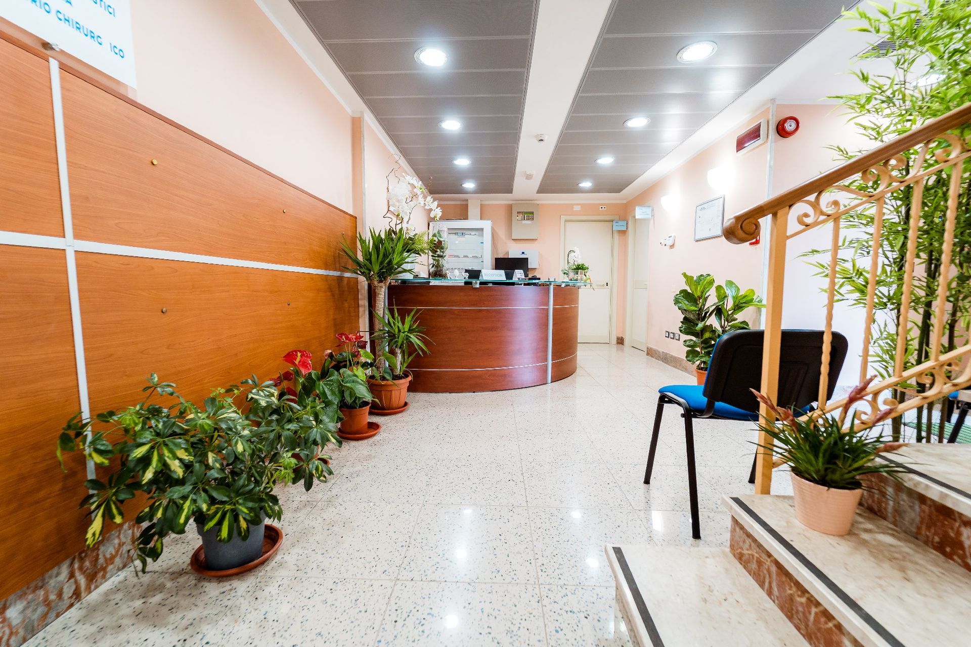 Ematologia struttura Madonna del Carmine centro riabilitativo e medico specialistico Figline Vegliaturo (CS)