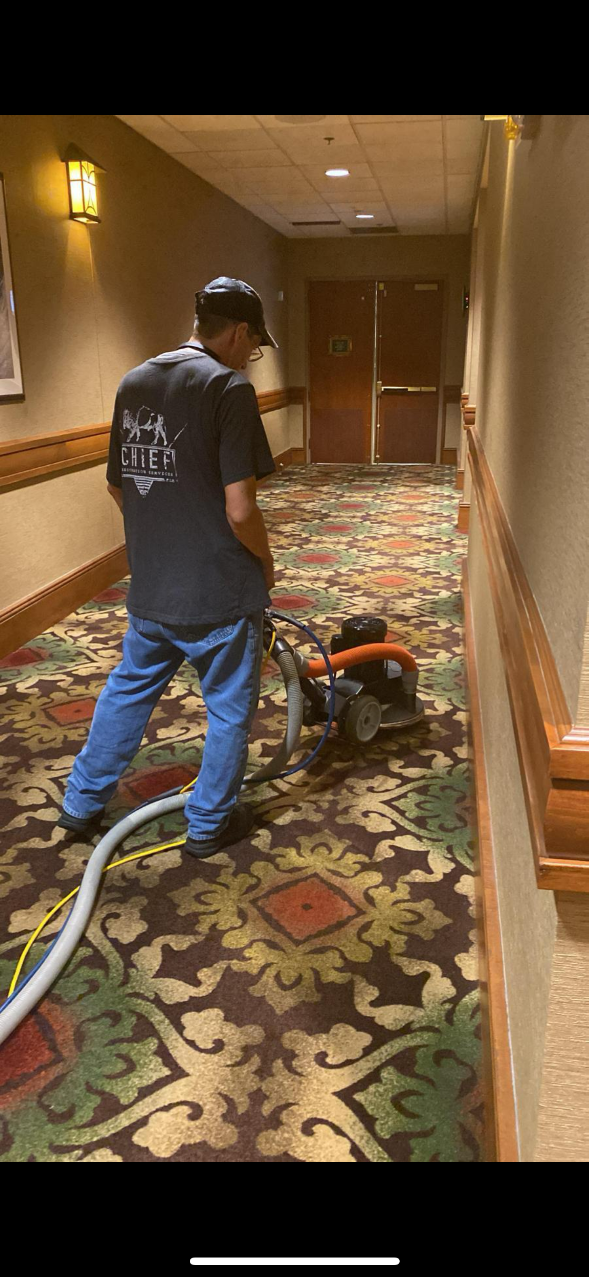 A person is cleaning a carpet with a vacuum cleaner.