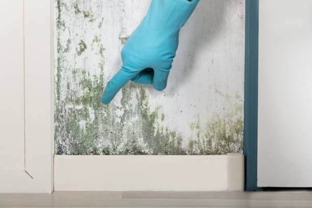 A person wearing blue gloves is pointing at mold on a wall.