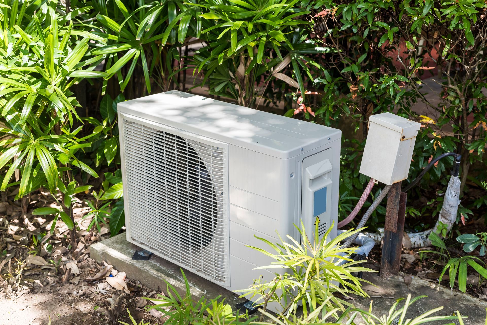 Outdoor air conditioning unit beside a utility box amid dense green plants.