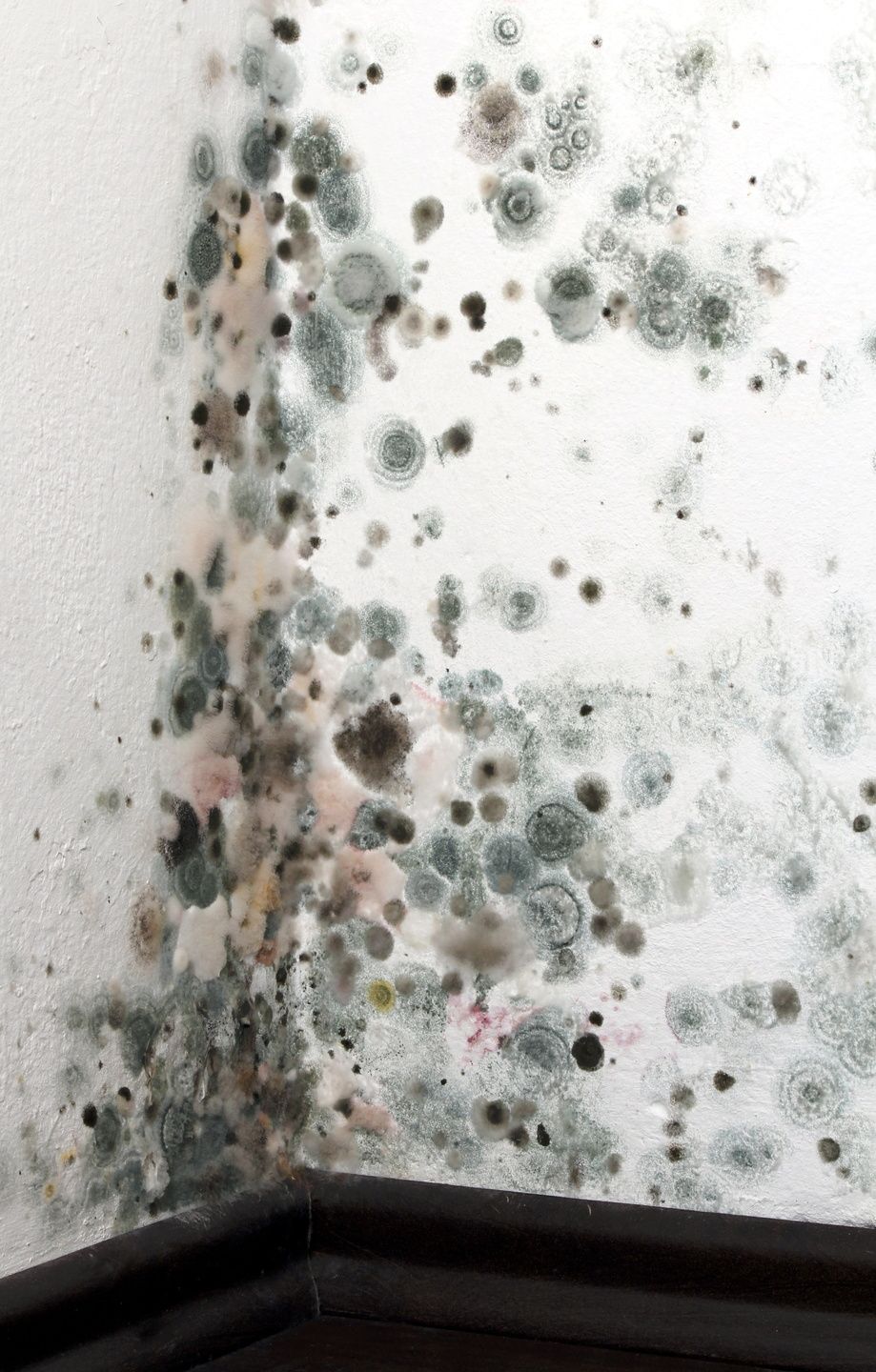 Mold-spotted white wall and corner with black baseboard.