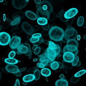 Glowing cyan cell-like rings floating on a black background