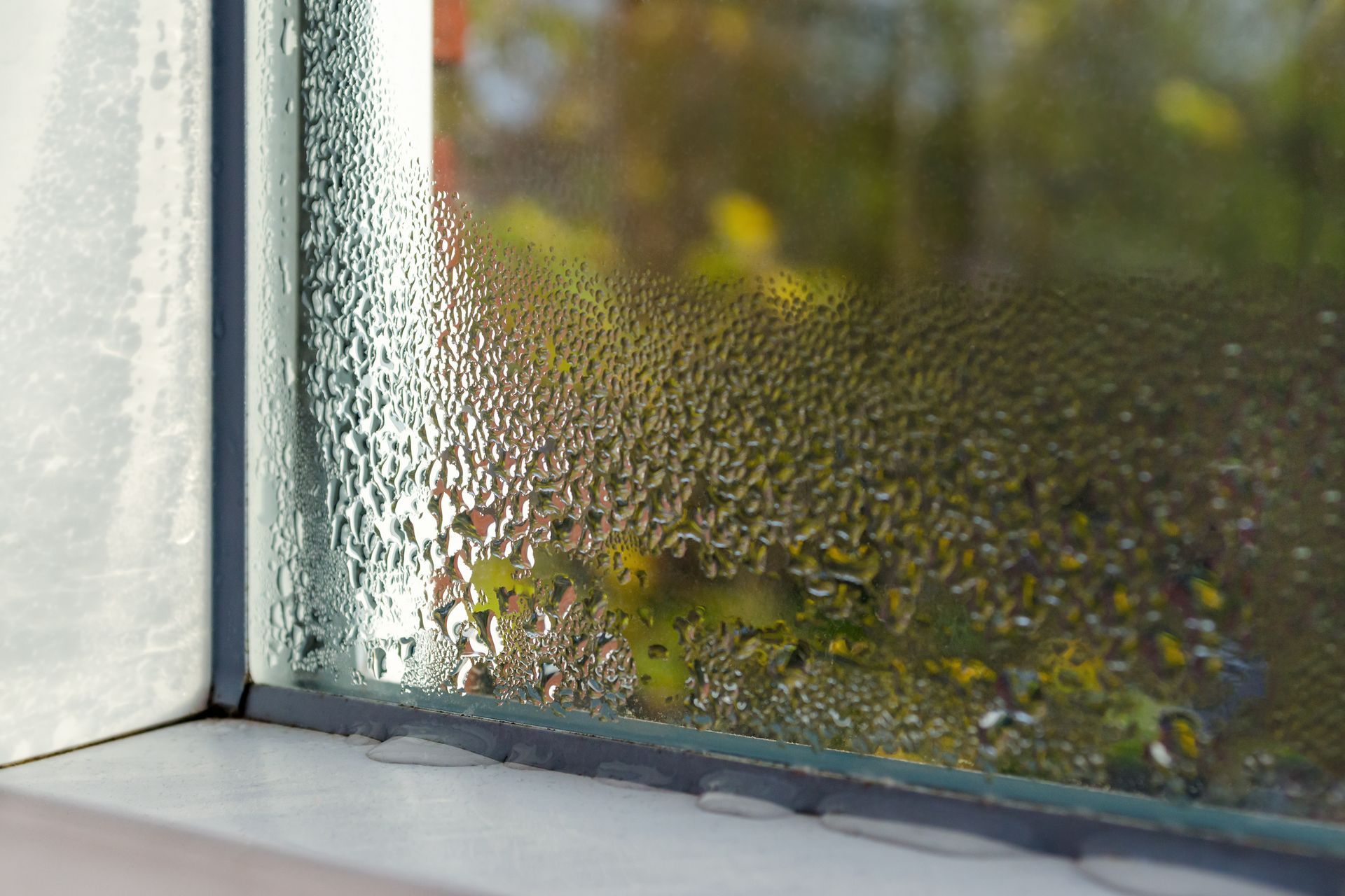 Condensation-covered window showing the effects of high indoor humidity during a humid Florida summe