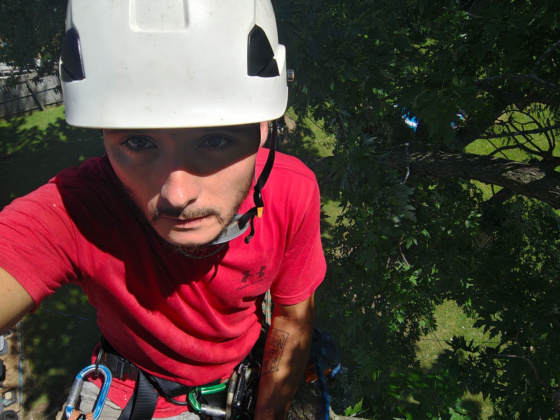 Arborist in a tree, sawing a branch with a chainsaw, green foliage surrounds them.