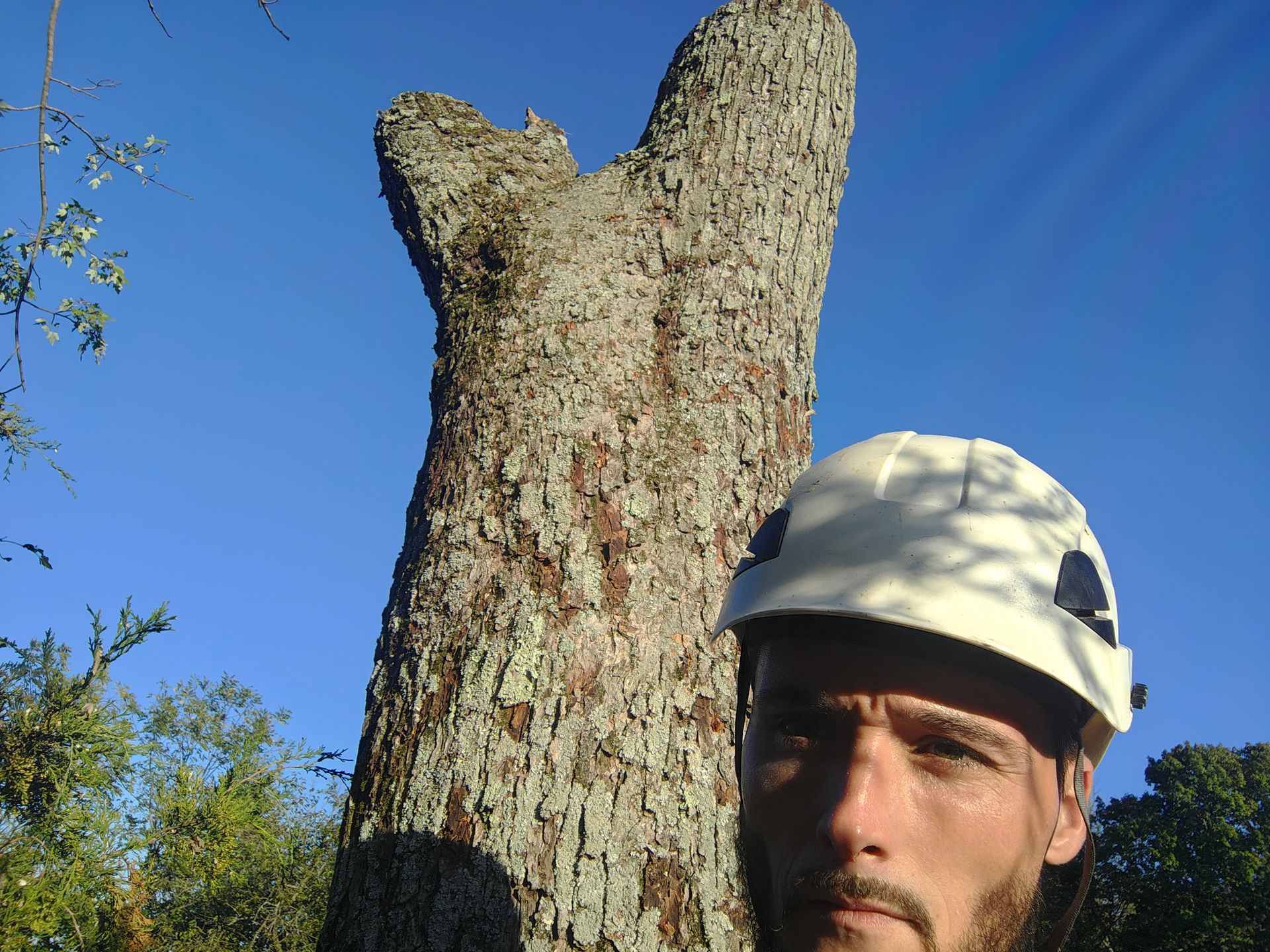 A long, rough-hewn wooden slab and plywood on grass by a stone building.