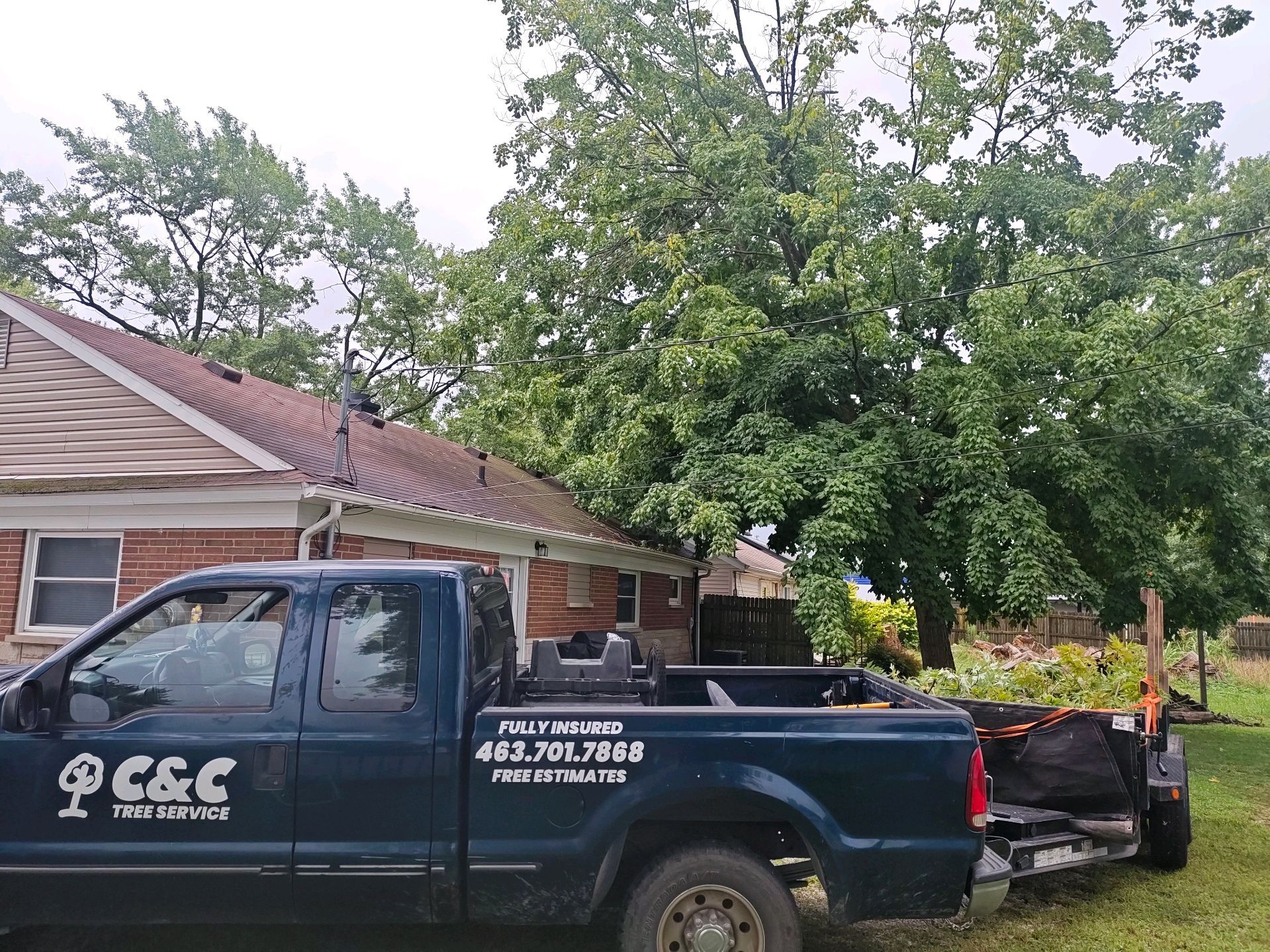 Blue pickup truck with C&C Construction logo near a house and large tree; tree service work underway.