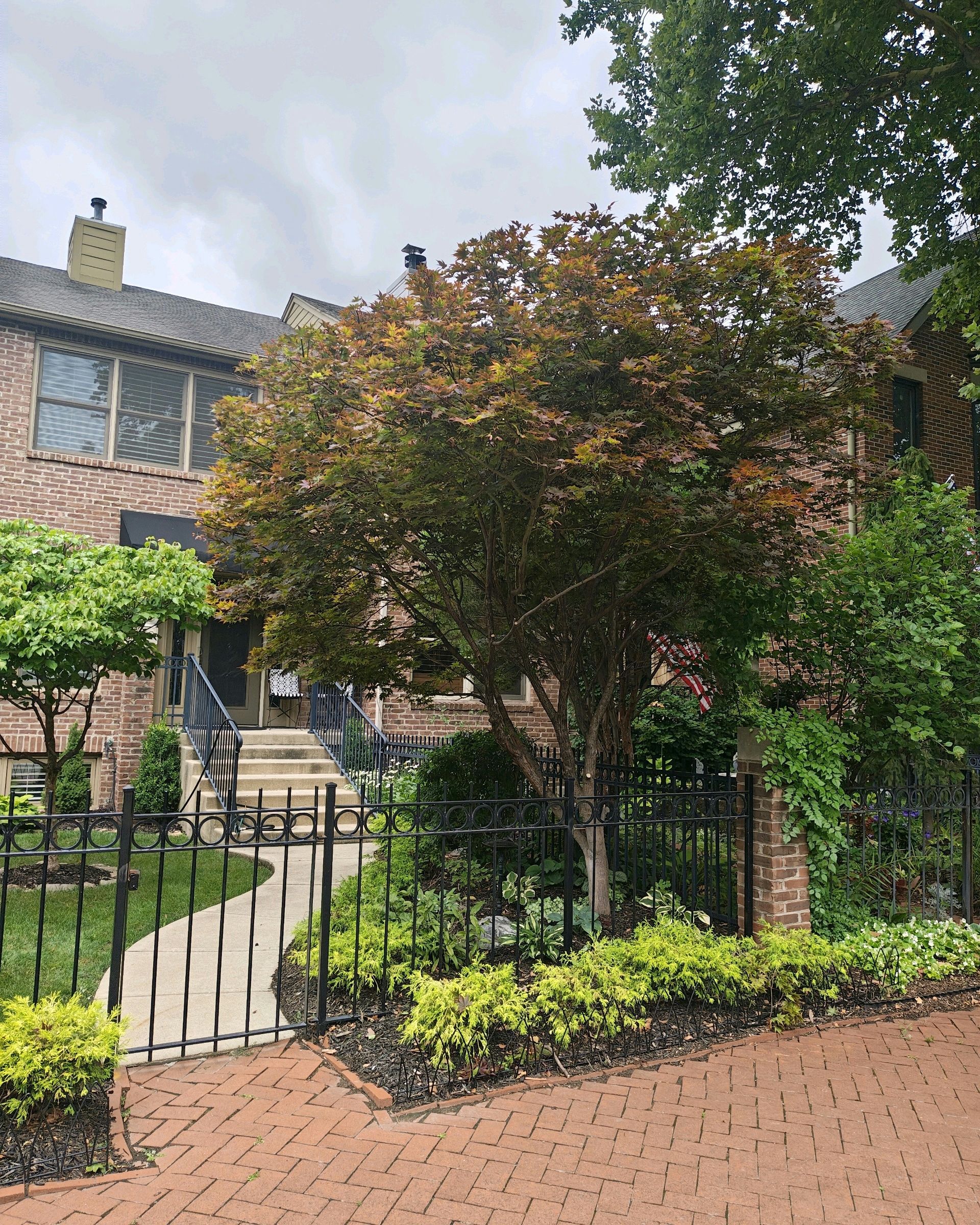 Brick townhome with a wrought iron fence, a brick path, and a tree with reddish leaves.