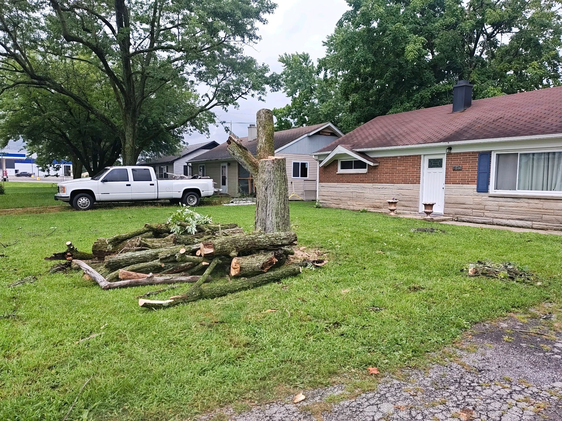 Tree stump, logs, and a white truck on a lawn next to a brick house; day.