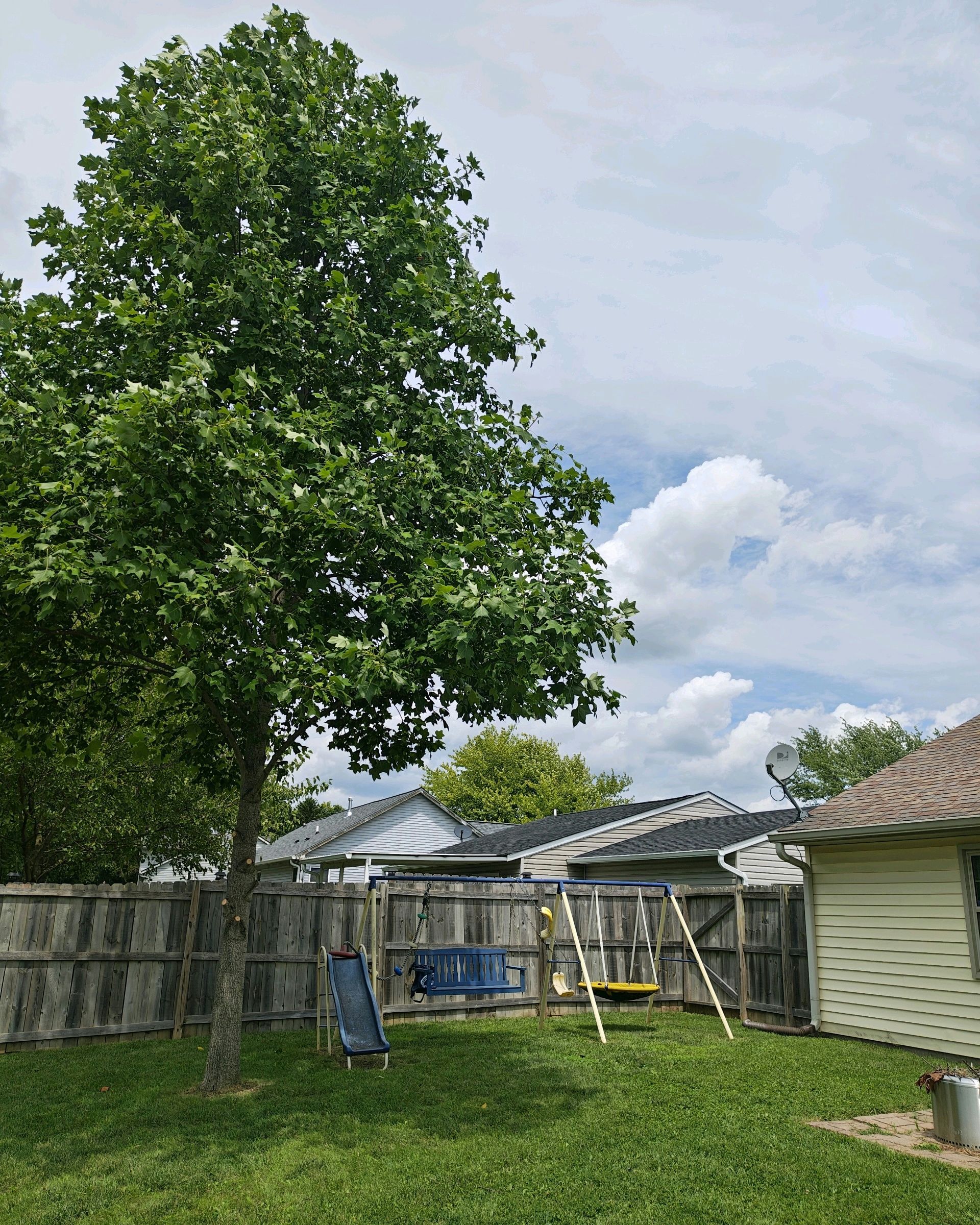 Backyard with a large tree, swing set, wooden fence, and partly cloudy sky.