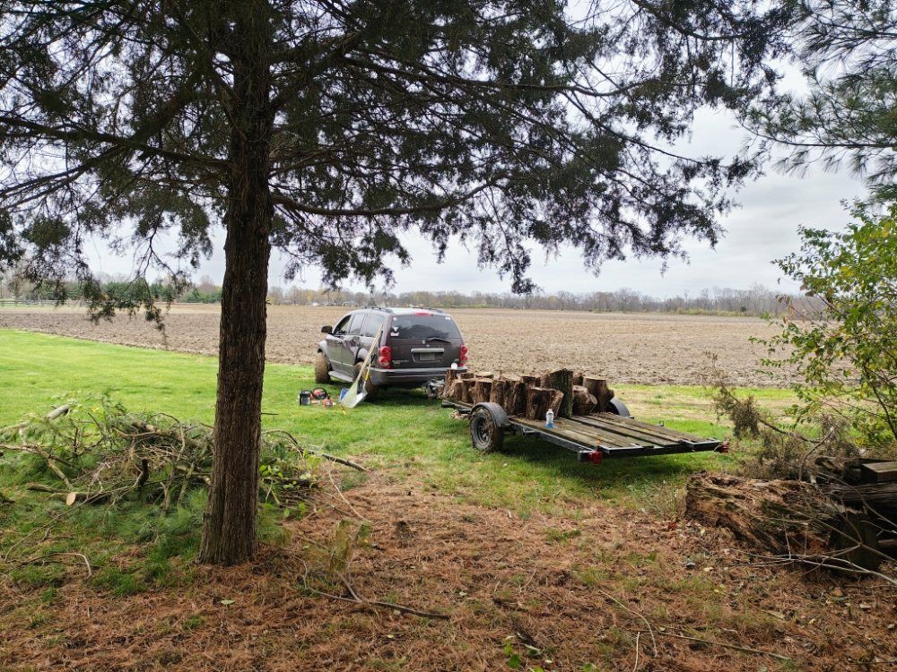 SUV and trailer loaded with logs on a grassy area near a field and a tree.