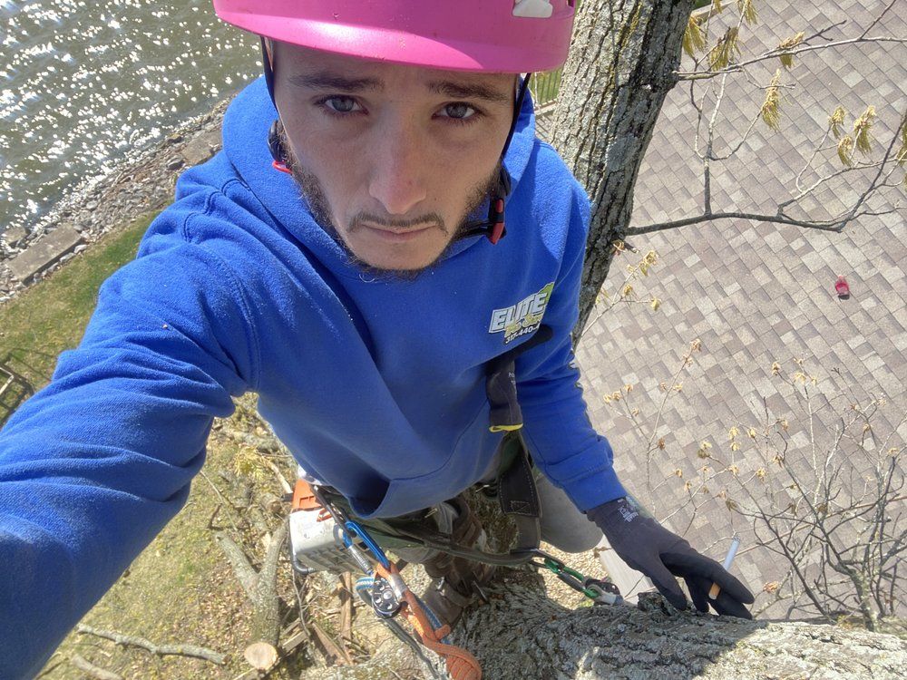 Man in blue hoodie and pink helmet in a tree, taking a selfie.
