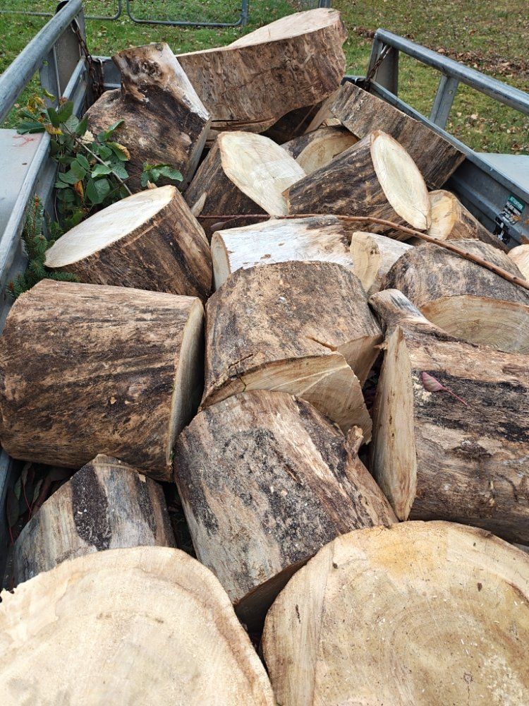 Logs in a metal trailer, piled high. Sawn ends of the wood are visible.