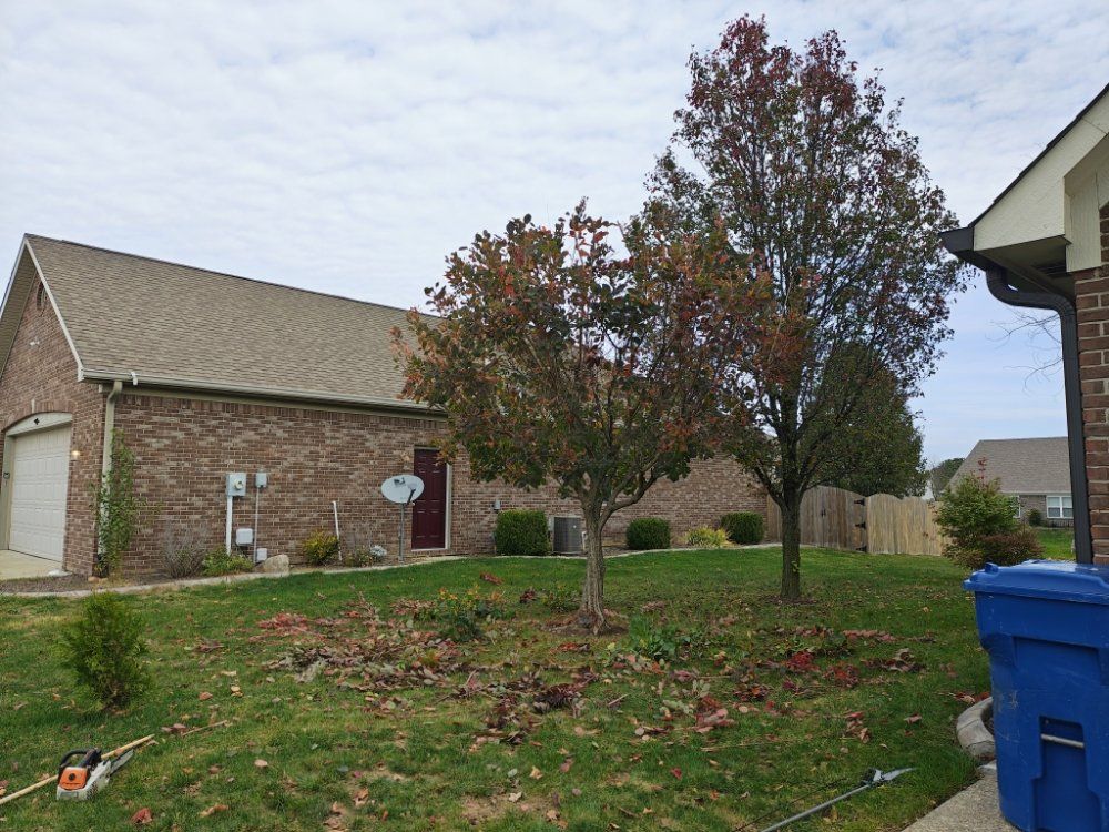 A brick house with two trees in front, blue trash can on right. Cloudy sky.