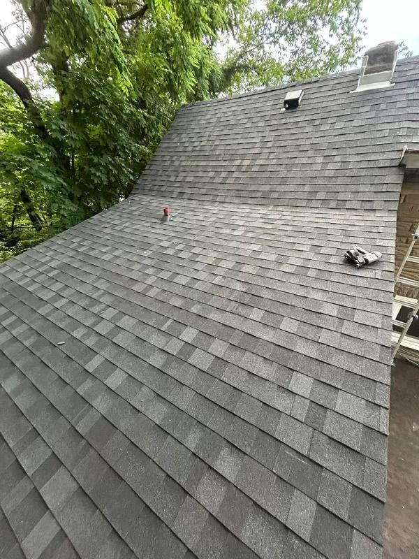 Gray asphalt shingle roof on a residential building, with trees in the background.