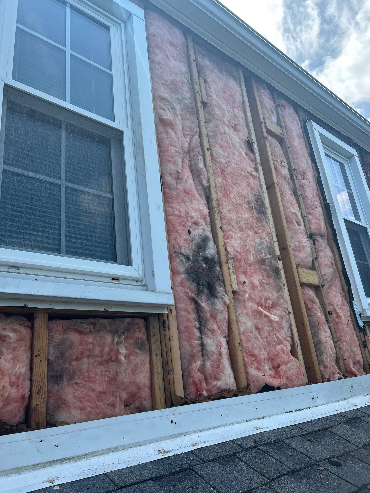 Exterior house wall with exposed pink insulation and wood framing, showing water damage around the insulation.