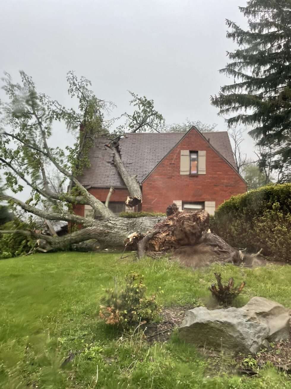 A large tree has fallen on a red brick house; green lawn and overcast sky.