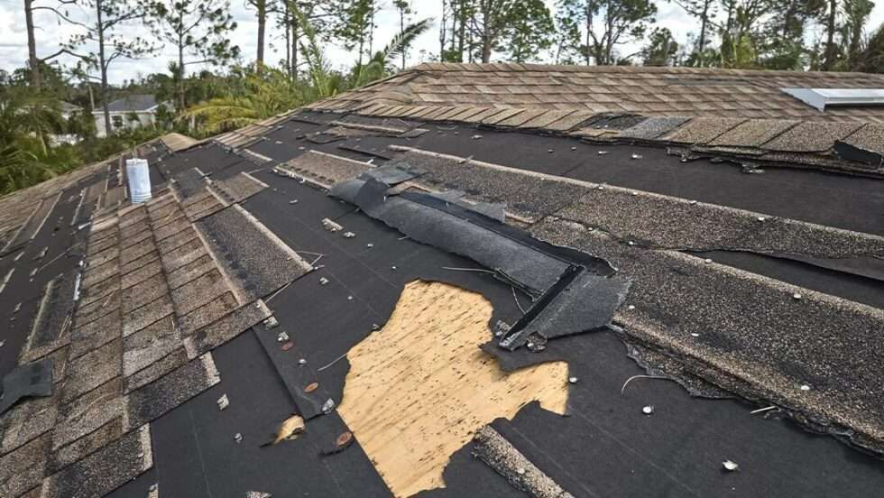 Damaged asphalt shingle roof, shingles missing, exposing underlayment.