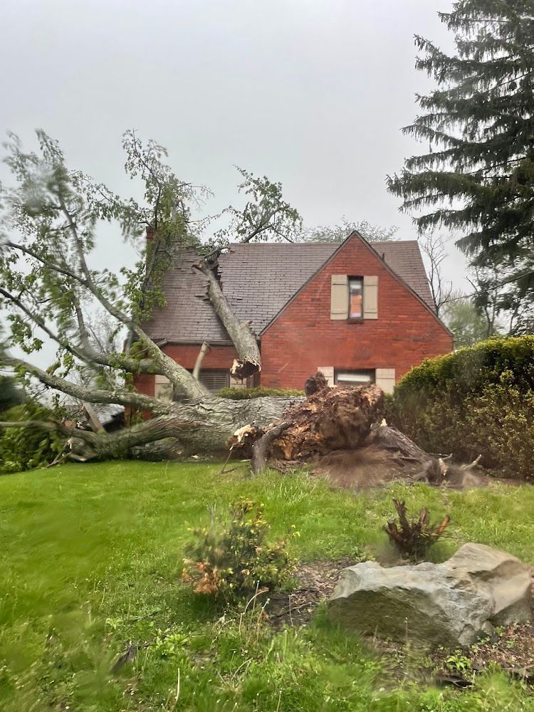 A large fallen tree rests on top of a red brick house, with green grass in the foreground.