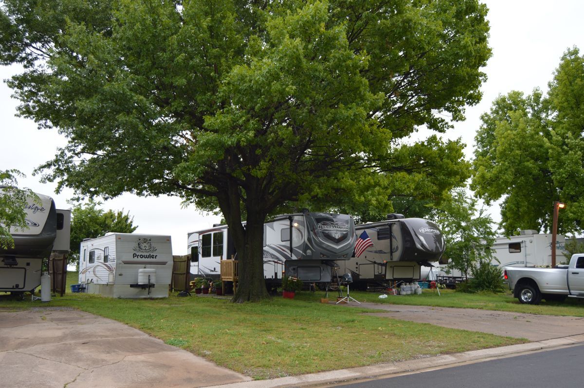A lot of rvs are parked in a lot next to a tree.